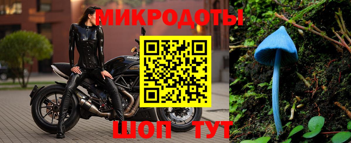 Партизанск  Псилоцибиновые грибы GOLDEN TEACHER  Вход с VPN 
