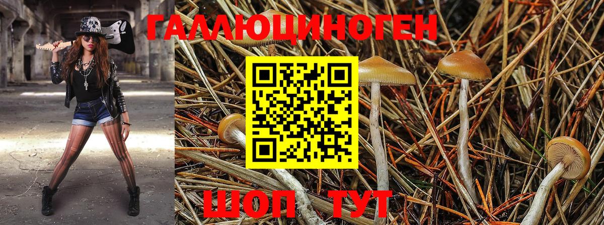 Псилоцибиновые грибы мухоморы Партизанск